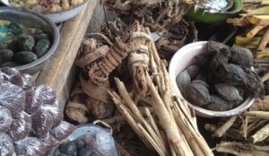 169043475 109525457908534 4011938350525850423 n SANGOMA IN Sandton & Vanderbijlpark【+277’64410’726】⓶ TRADITIONAL HEALER/ SPIRITUAL HEALER In Sandton , Siyabuswa , Somerset East , South Africa, Soweto , Springbok ,Springs , Tembisa , Thaba nchu , Thohoyandou , Tzaneen , Uitenhage , Ulundi , Umtata , Upington , Utrecht , Vanderbijlpark , Vereeniging ,Verulam , Vryheid , Wesselsbron , Westonaria , Westville , Worcester , Wynberg , zeerust