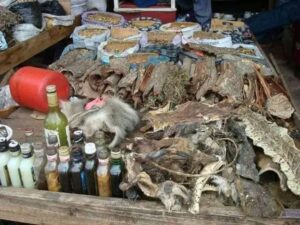 245066729 223215193206226 1015370584730292265 n SPELL CASTER ✯✯+27’764’4107’26 ✯✯ TRADITIONAL HEALER/ SANGOMA / SPIRITUAL HEALER / GAY & LESBIAN spell/ Death & Revenge Spells in AFRICA, JUBA, NAIROBI, DAR EL SALAM, LUSAKA, ANTANANARIVO, KAMPALA, HARARE,, MAPUTO, KIGALI, WINEJOK, MOMBASA, South africa ,BULAWAYO, MATOLA, LILONGWE, DJIBOUTI, BLANTYRE, ASMARA,BEIRA, YEI, RUIRU, HARGEYSA, N'DALATANDO, RUNDU, South africa ,FRANCISTOWN, PAJOK MWANZA, ZANZIBAR, KITWE, MALOPOLOLE, MALAKAL,