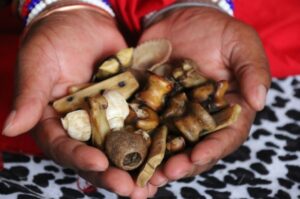 5660295 1638374896 11 4 ⓶:@# SPELL CASTER [[+277’64410’726]] SANGOMA/ A TRADITIONAL HEALER AND A SPIRITUAL HEALER in Pretoria, Diepsloot, Durban, Sasolburg, Botshabelo, Bothaville, Potchefstroom, Klerksdorp, Secunda, Middleburg, Ermelo, Witbank, Mafikeng, Lichtenburg, Rustenburg, Nelspruit, Capetown, Ladysmith, Ladybrand, Groblersdal, Secunda, Middleburg, Newcastle, Polokwane, Port Elizabeth, East London, Ermelo, Kimberly, Mthatha, Queenstown,