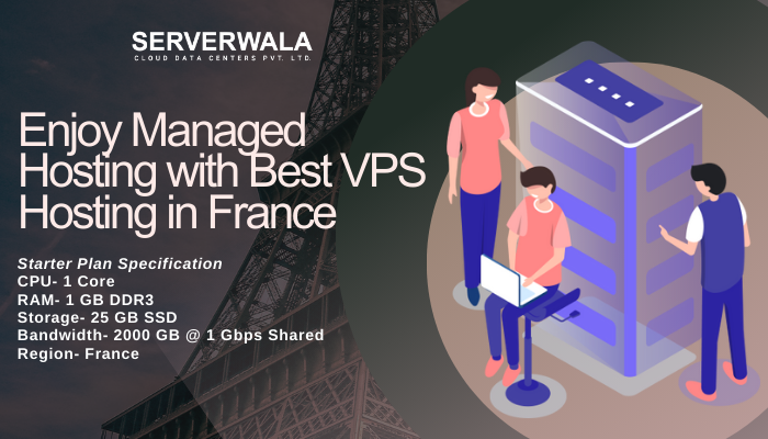 Enjoy Managed Hosting with Best VPS Hosting in France