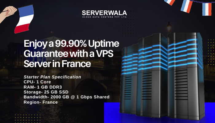 Enjoy a 99.90% Uptime Guarantee with a VPS Server in France