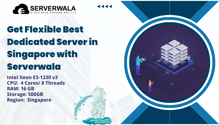 Get Flexible Best Dedicated Server in Singapore with Serverwala