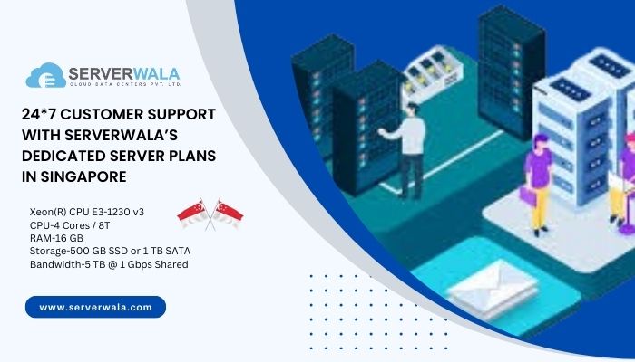 24 7 Customer Support With Serverwalas Dedicated Server Plans In Singapore 24*7 Customer Support With Serverwala’s Dedicated Server Plans In Singapore