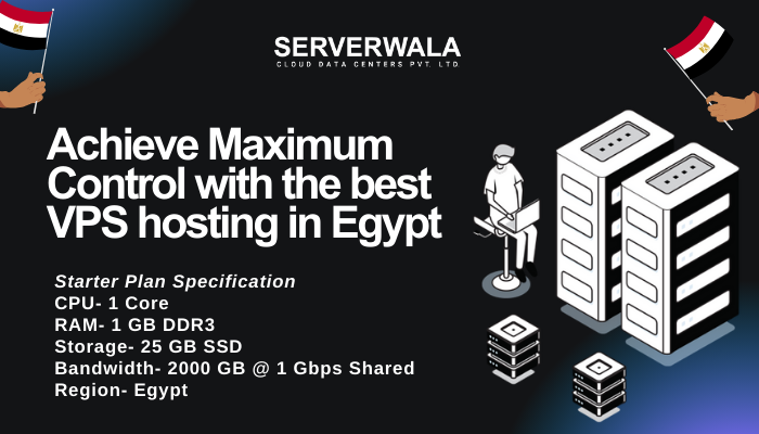 Achieve Maximum Control with the best VPS hosting in Egypt By Serverwala