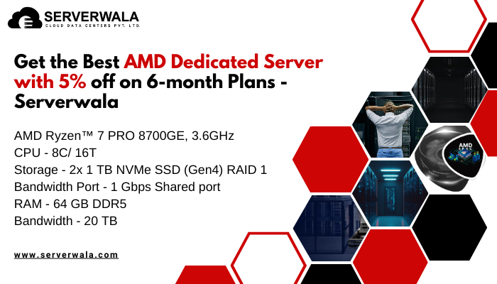 AMD Dedicated Server