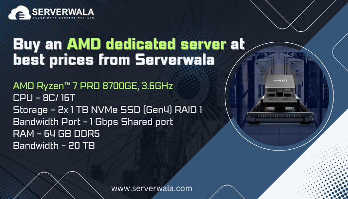 AMD dedicated server