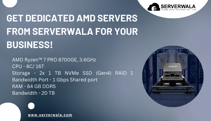 amd dedicated server