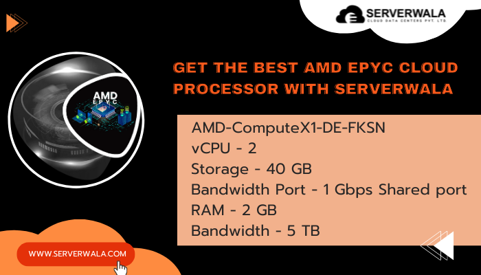 Get the best AMD EPYC cloud processor with Serverwala Get the best AMD EPYC cloud processor with Serverwala